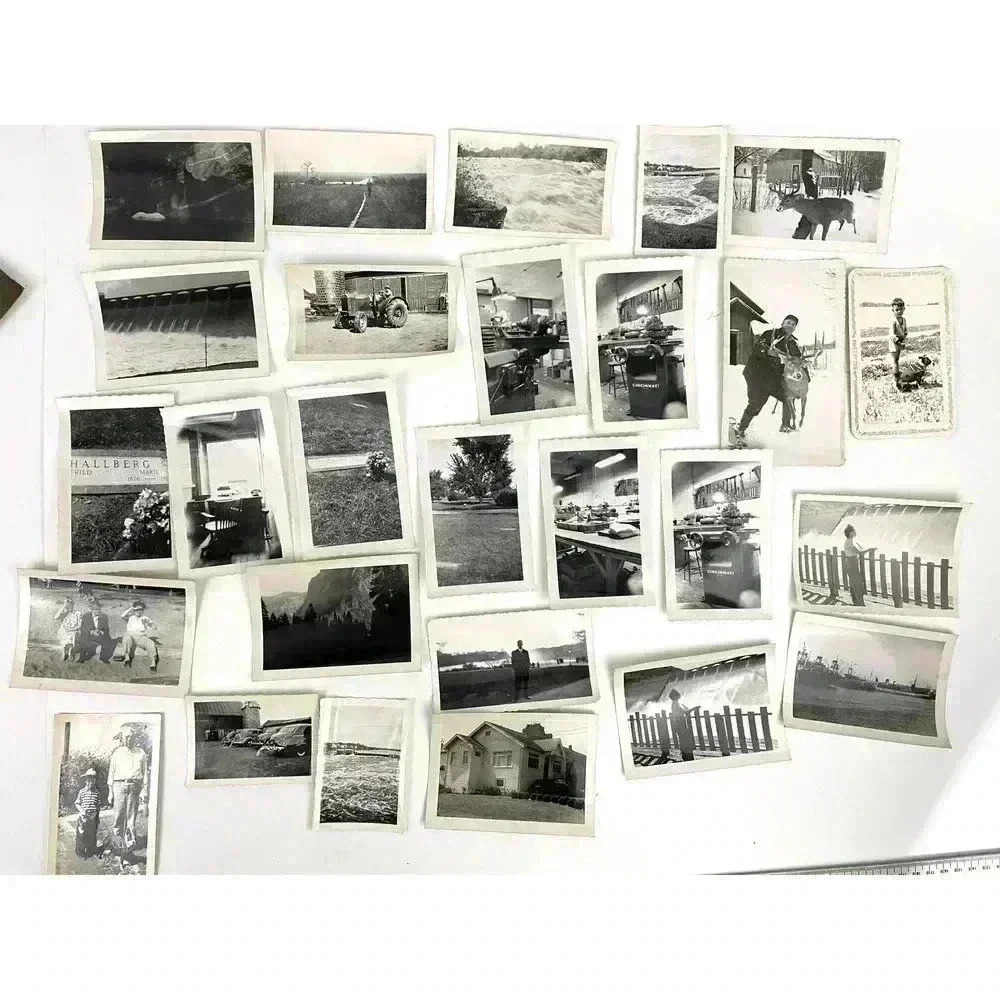 VTG 27 B&W Photographs Travel Animals Wildlife Grave Cars‎ Farming 40's Ephemera